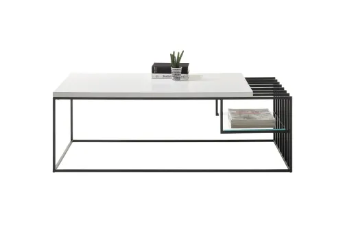 Couchtisch Juba | 120x60 | weiß matt / schwarz