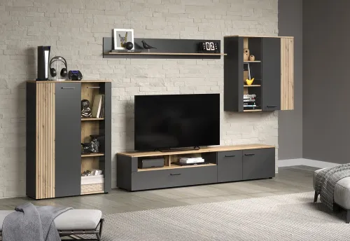 TV-Board Lowboard Esteban | Anthrazit / Coast Evoke Oak